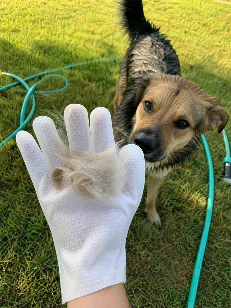 Vantrivo GroomMitt in use with a mixed-breed puppy in a backyard setting