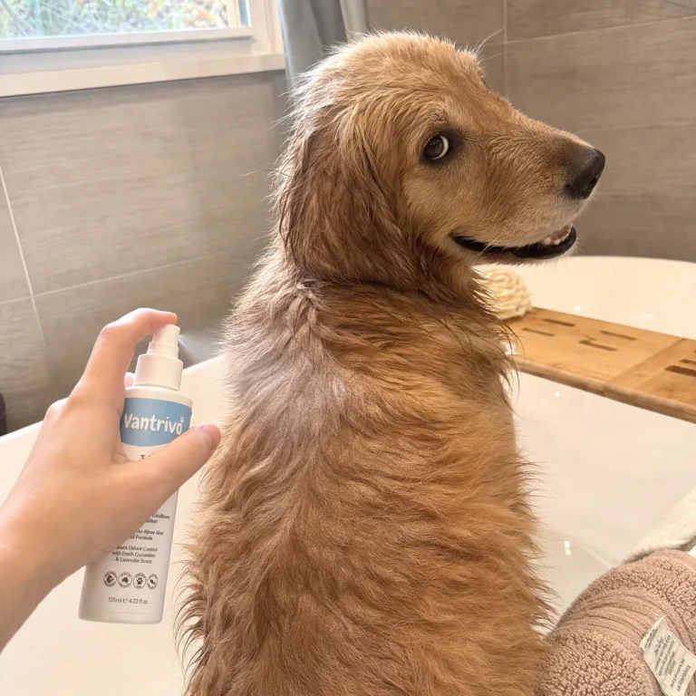 Vantrivo Leave-in spray in use with a golden retriever in a bathroom tub setting