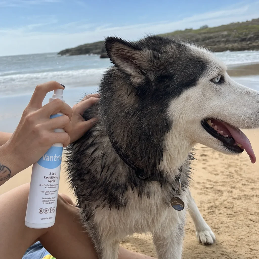 Vantrivo Leave-in spray in use with a husky in a beach setting