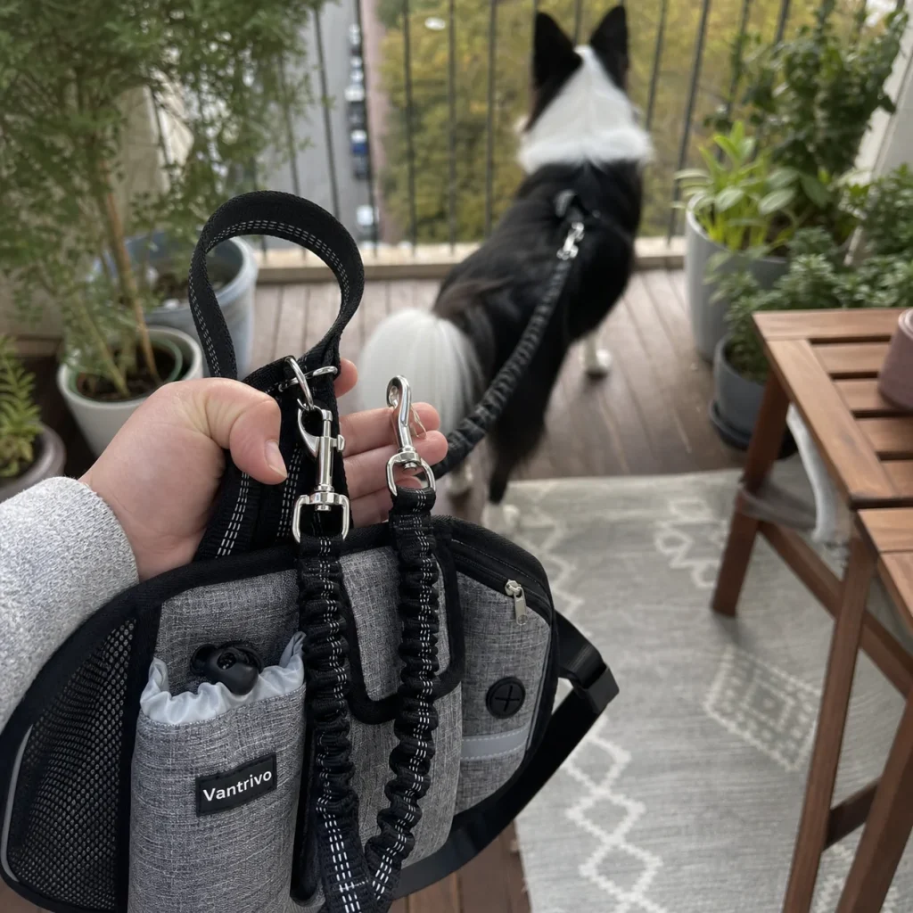 Vantrivo WalkPro in use with a border collie in a apartment balcony setting