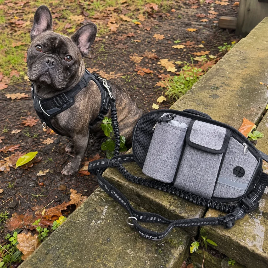 Vantrivo WalkPro in use with a french bulldog in a muddy autumn garden setting