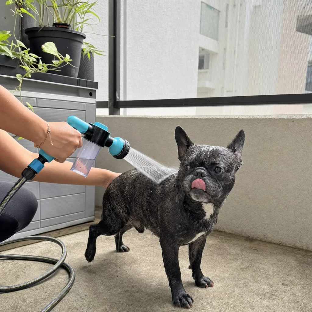 Vantrivo WashPro in use with a french bulldog in a apartment balcony setting