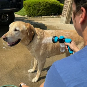 WashPro lifestyle scene with a Labrador
